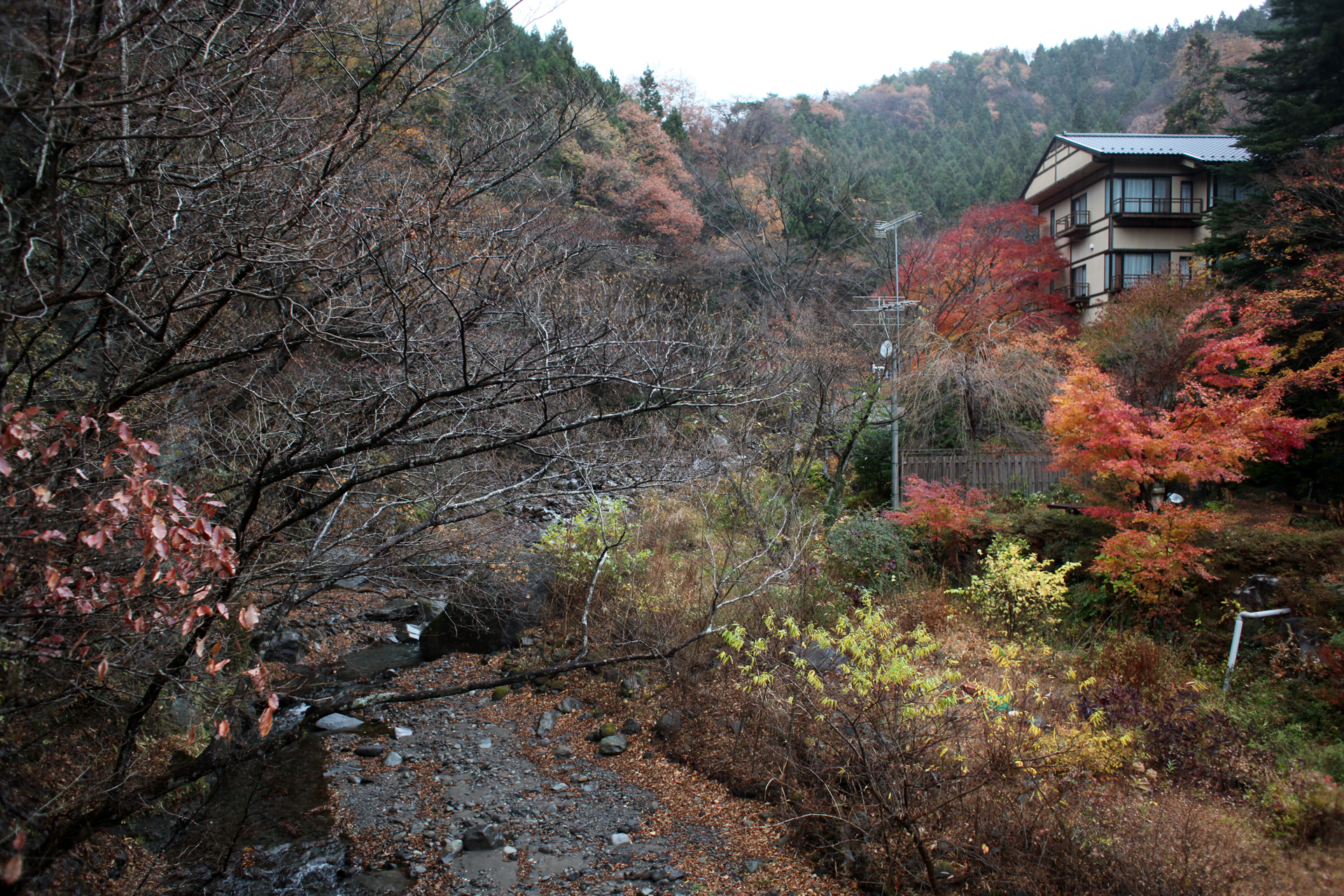 滝沢温泉 滝沢館