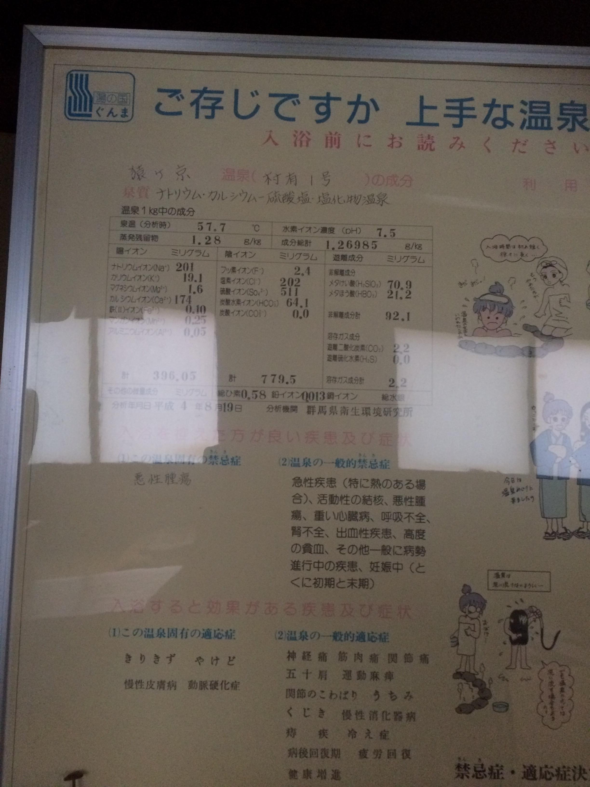 猿ケ京温泉　いこいの湯