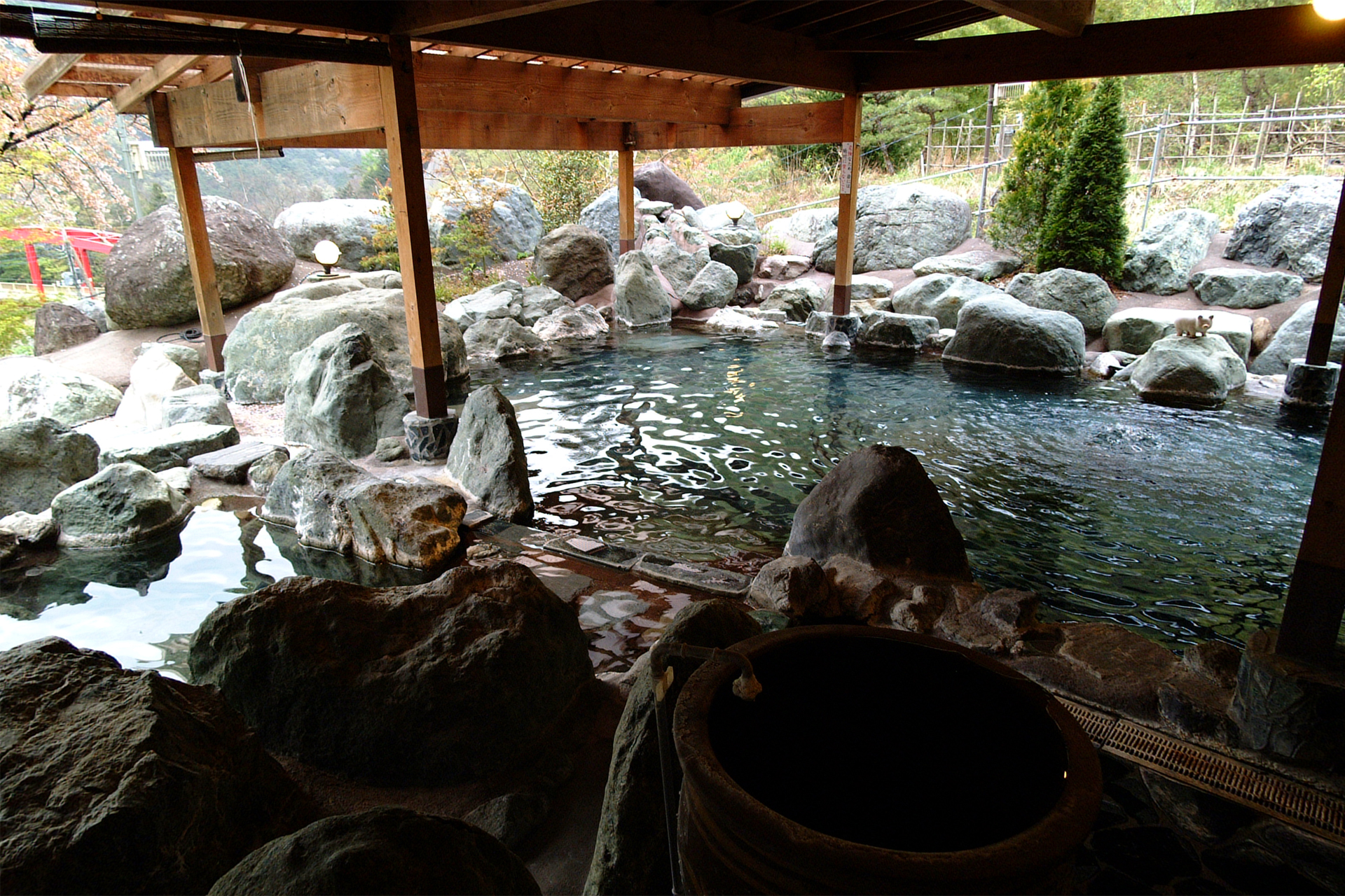 芦安温泉　岩園館