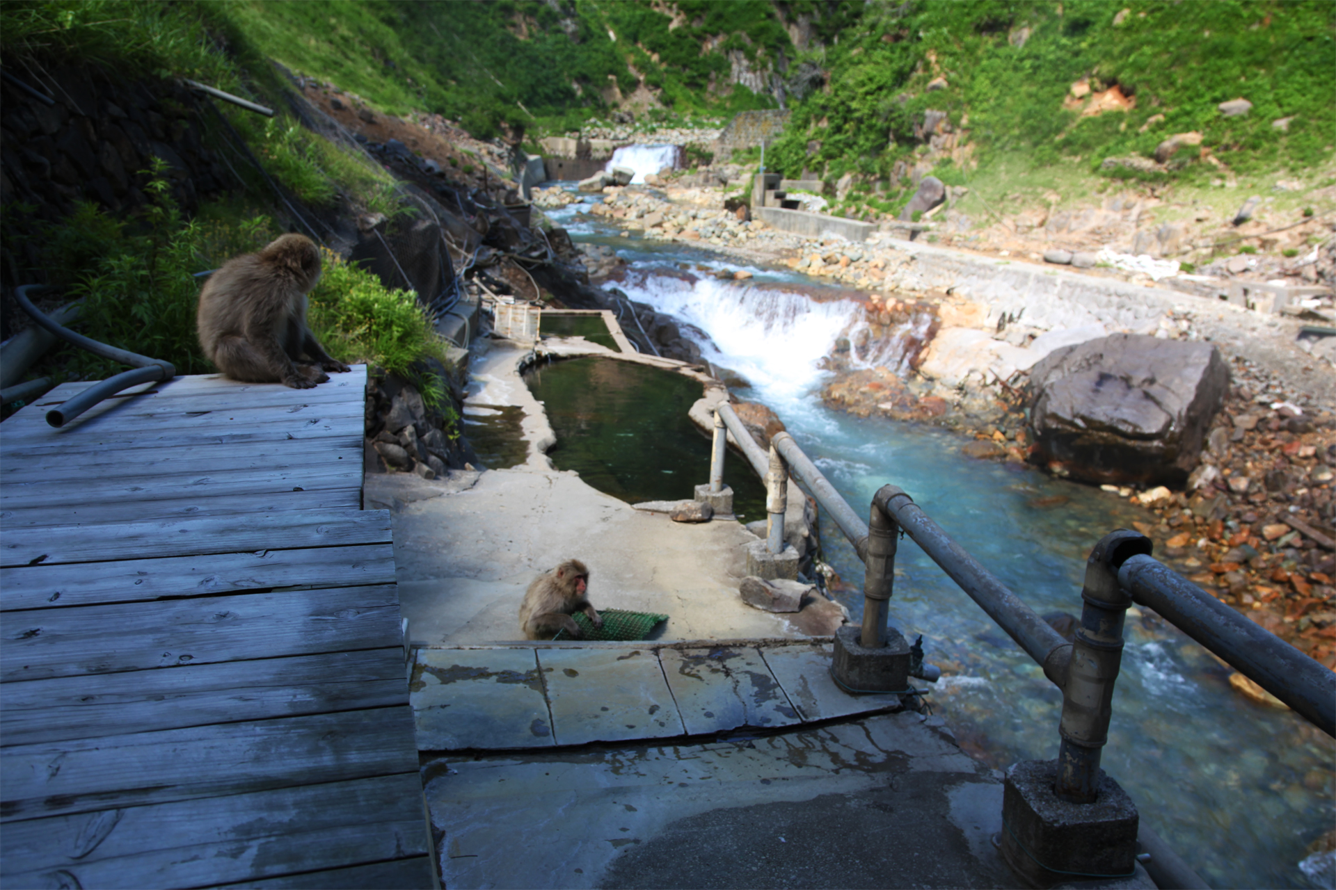 地獄谷温泉　後楽館