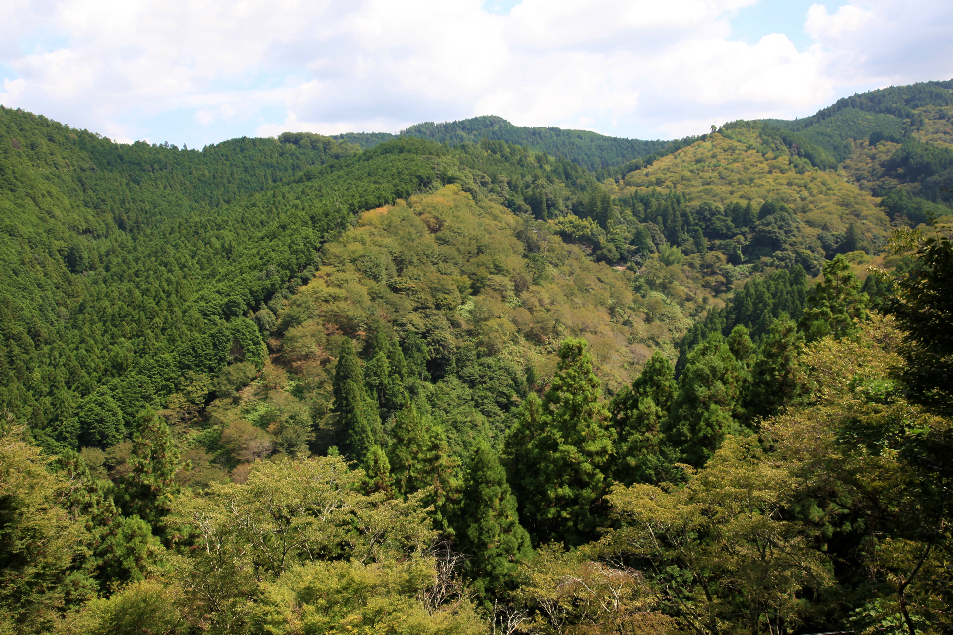湯元 宝の家