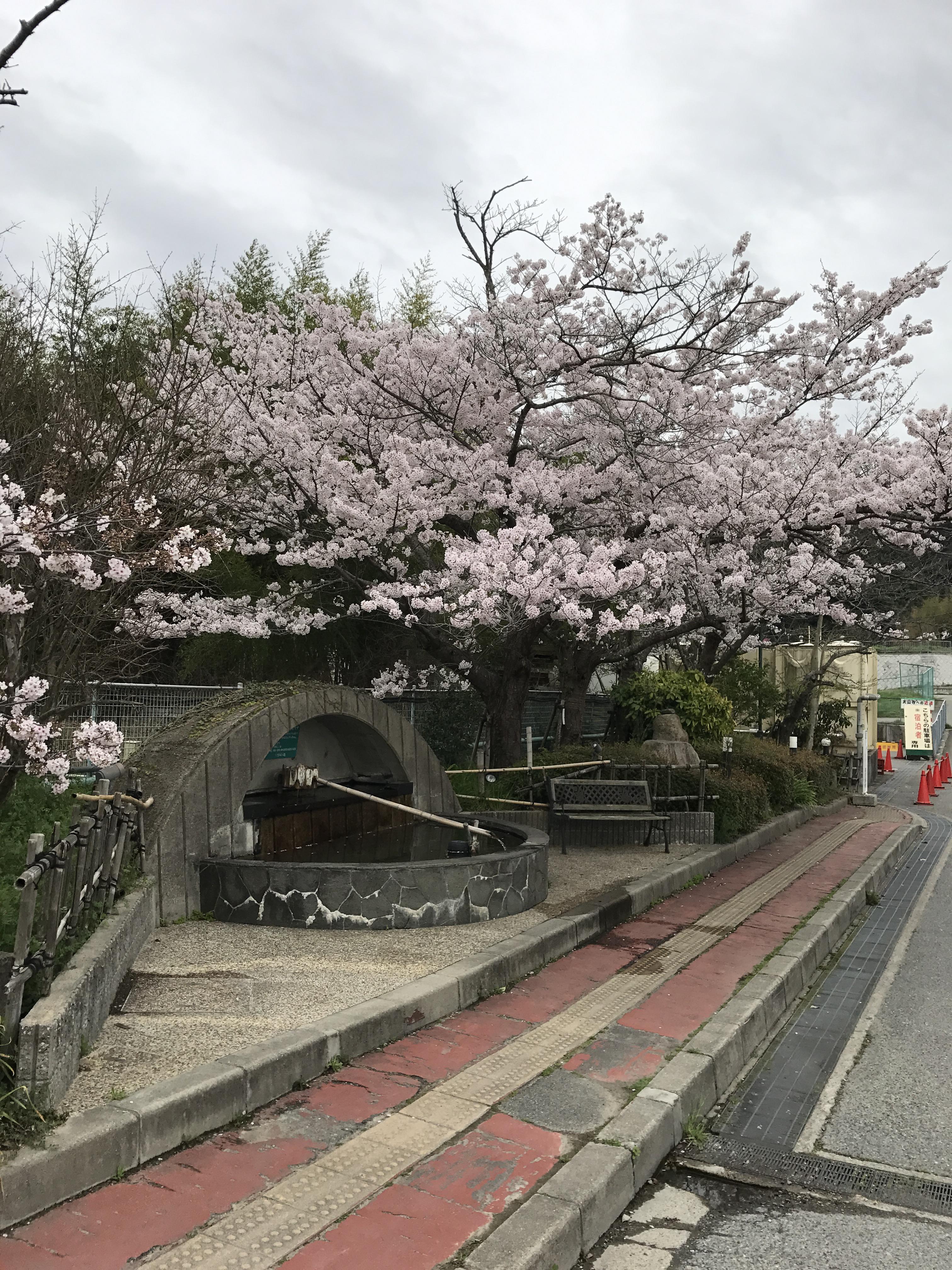 天然ラジウム温泉太山寺 なでしこの湯