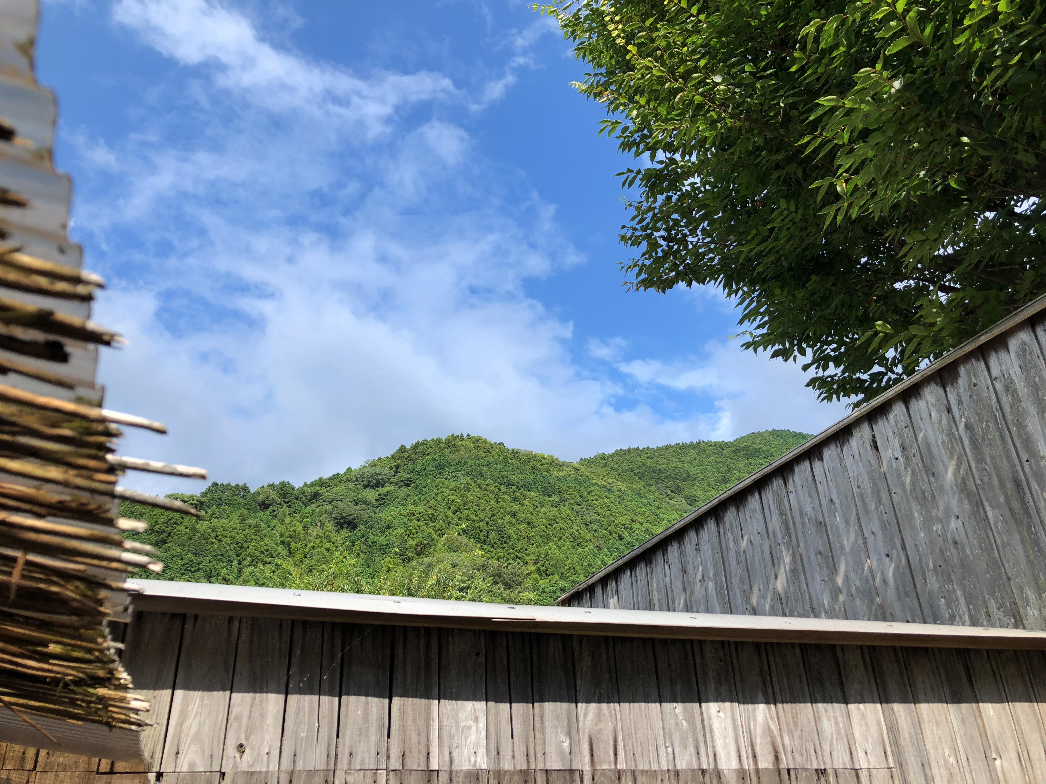 若杉の湯