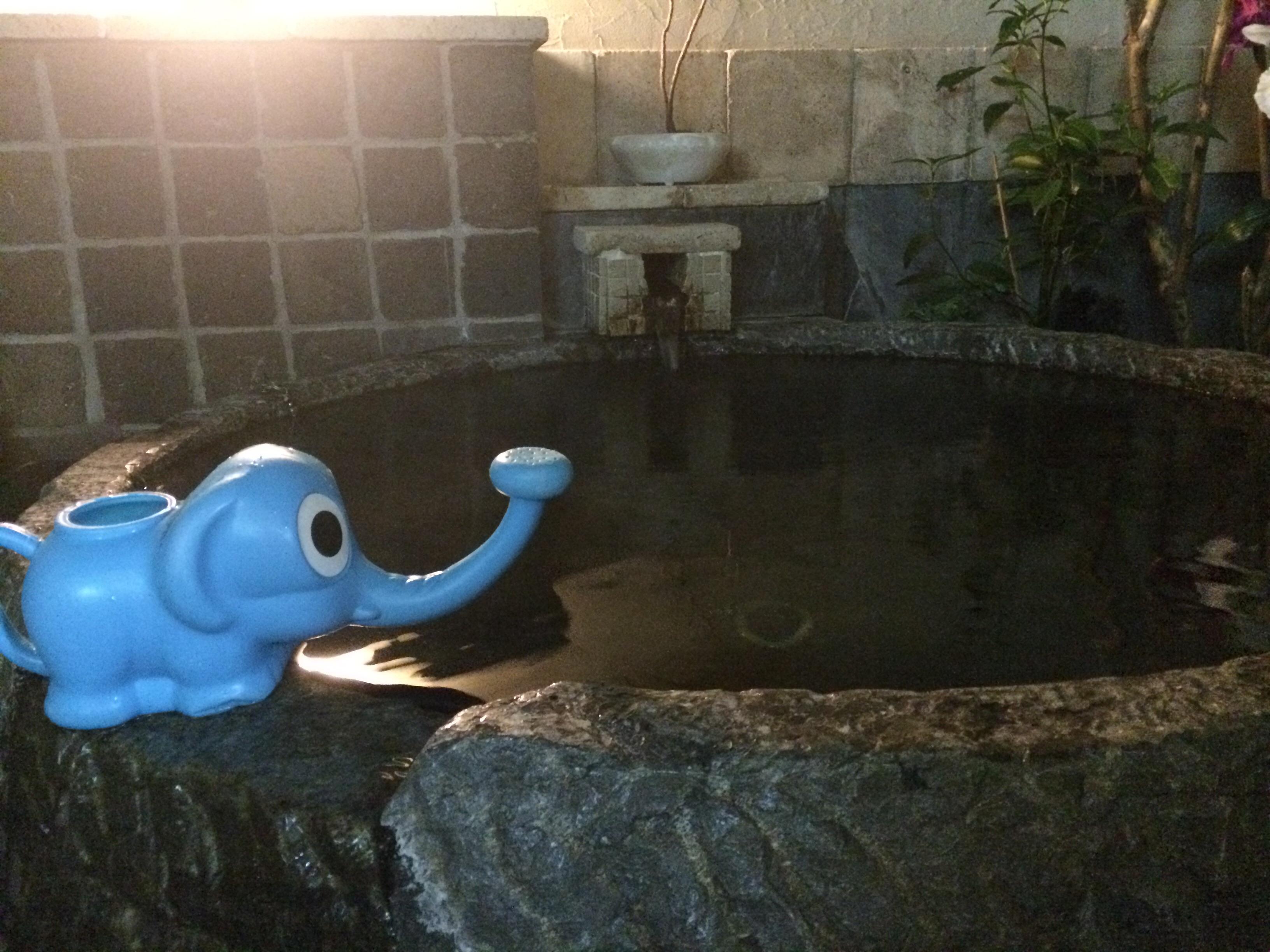 いづみ乃湯