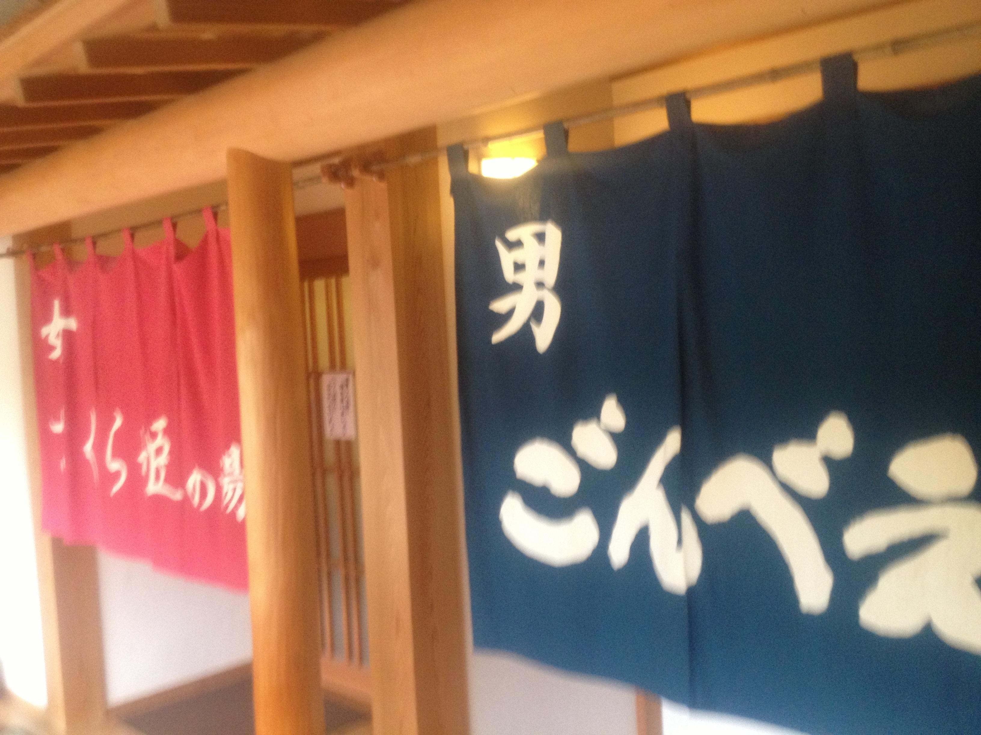 飯南町健康増進施設 加田の湯