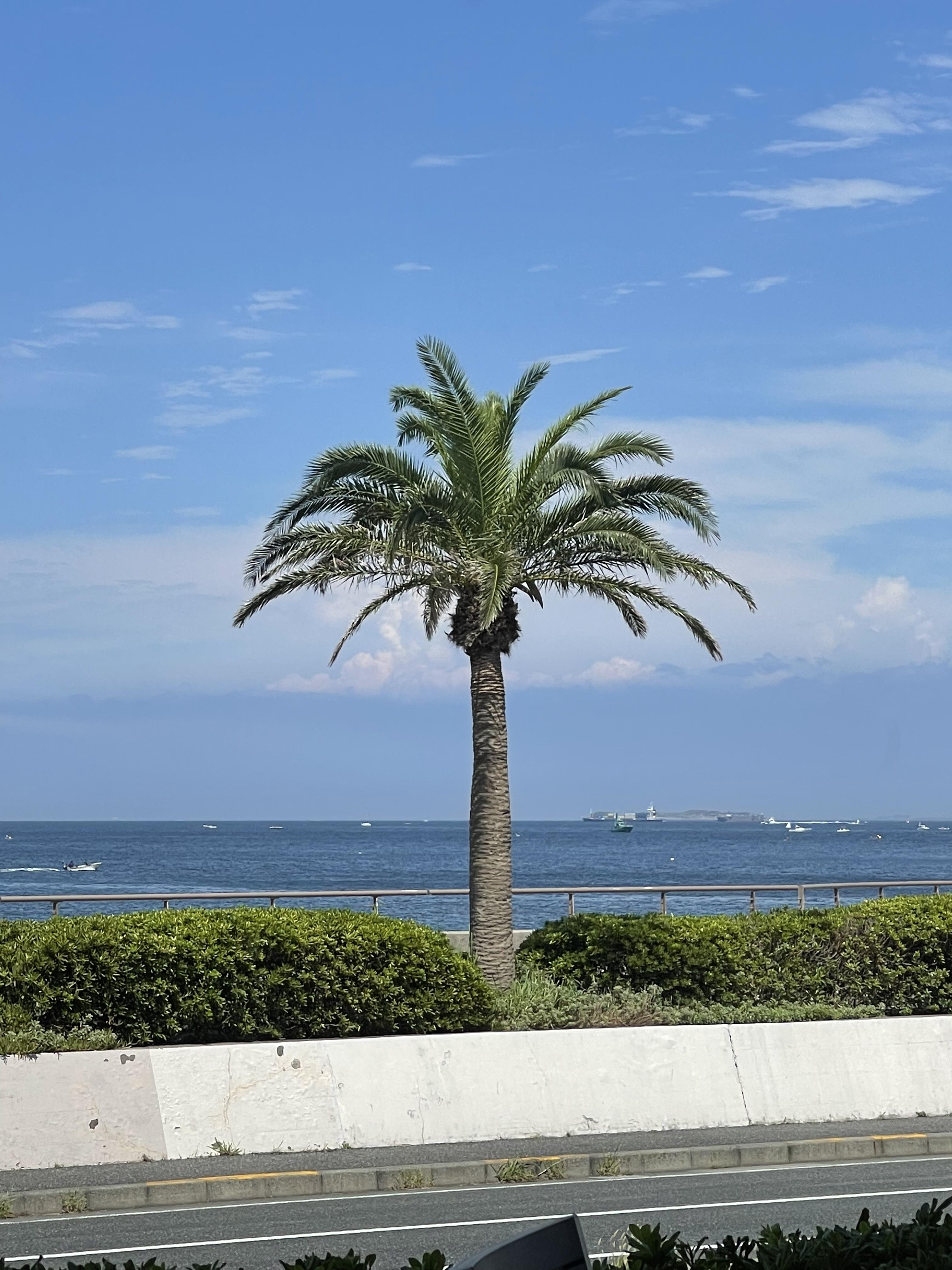 横須賀温泉 湯楽の里