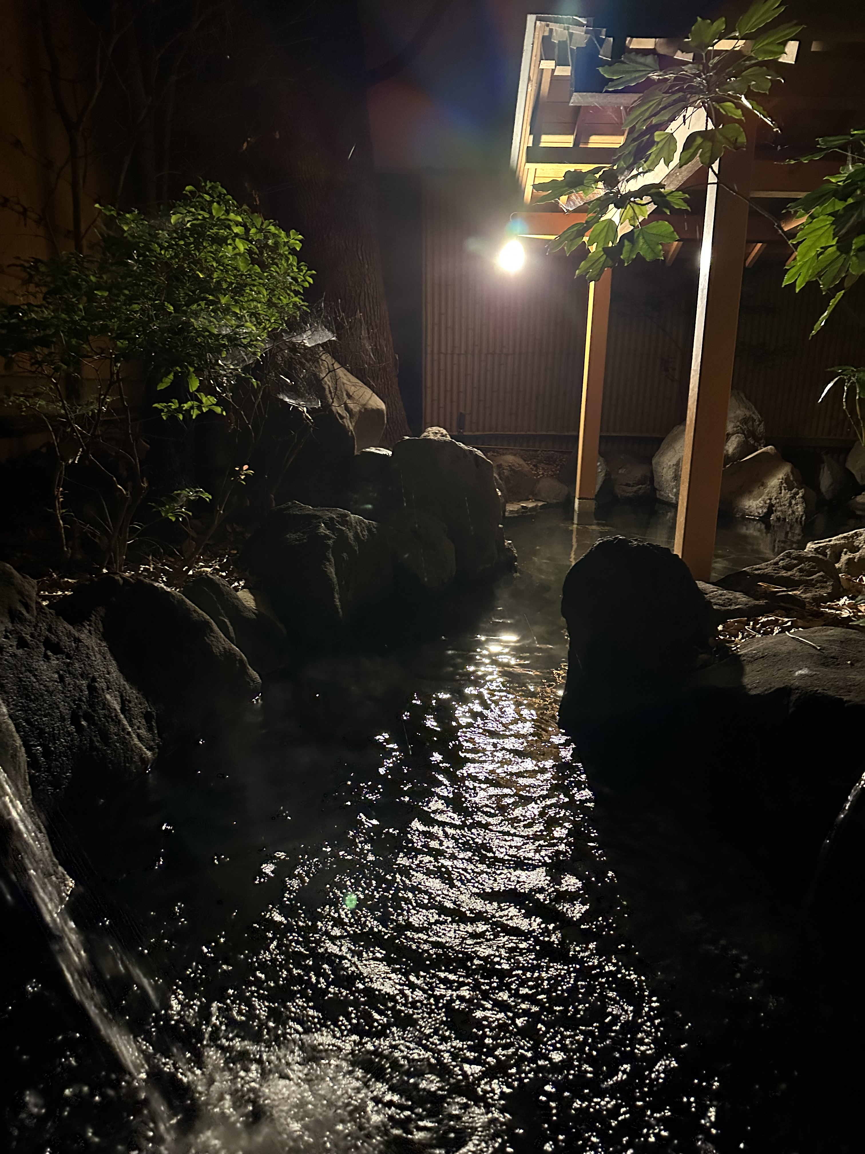 シャトレーゼホテル　旅館富士野屋