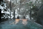 山田温泉　風景館