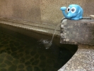いづみ乃湯