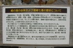 崎の湯