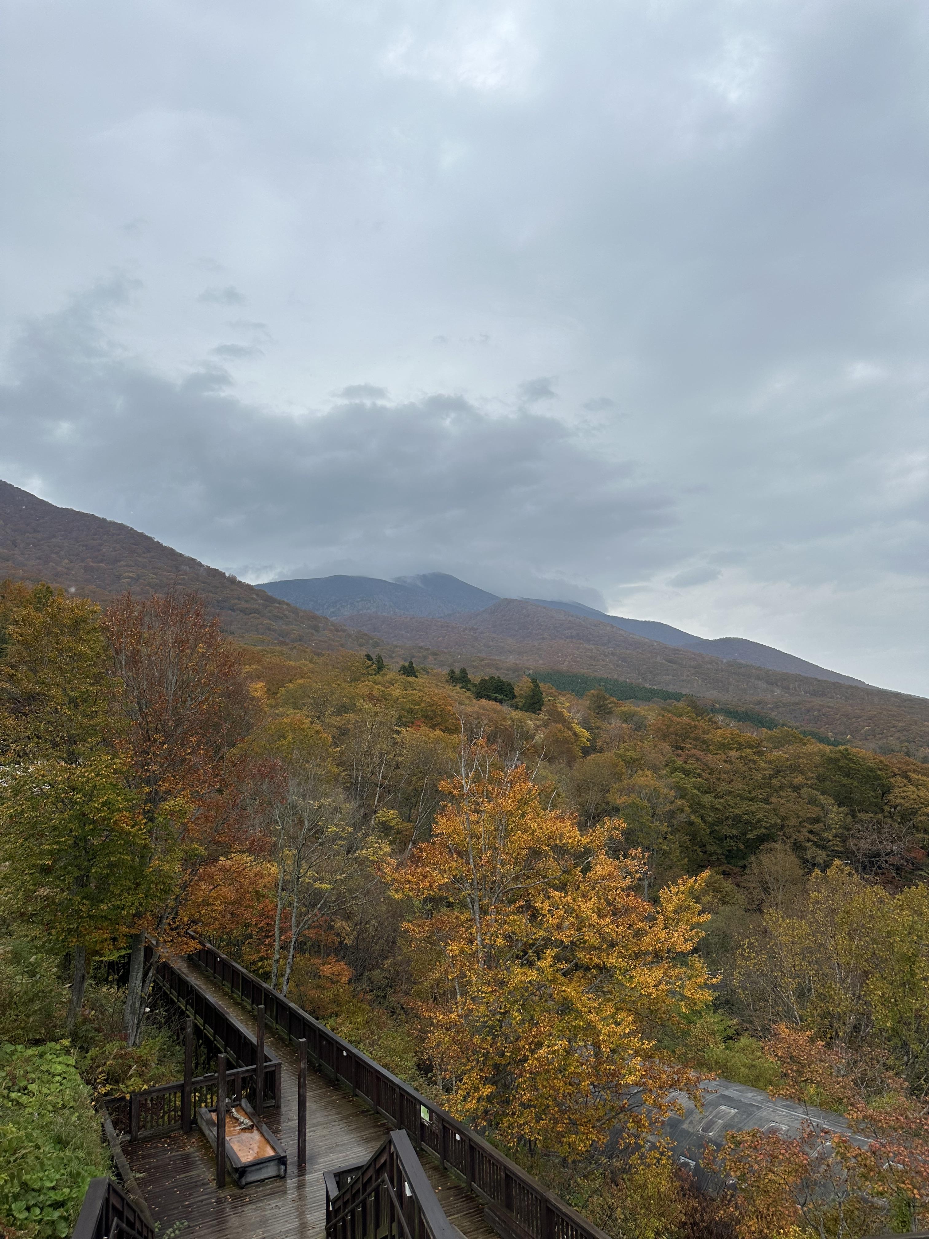 休暇村岩手網張温泉