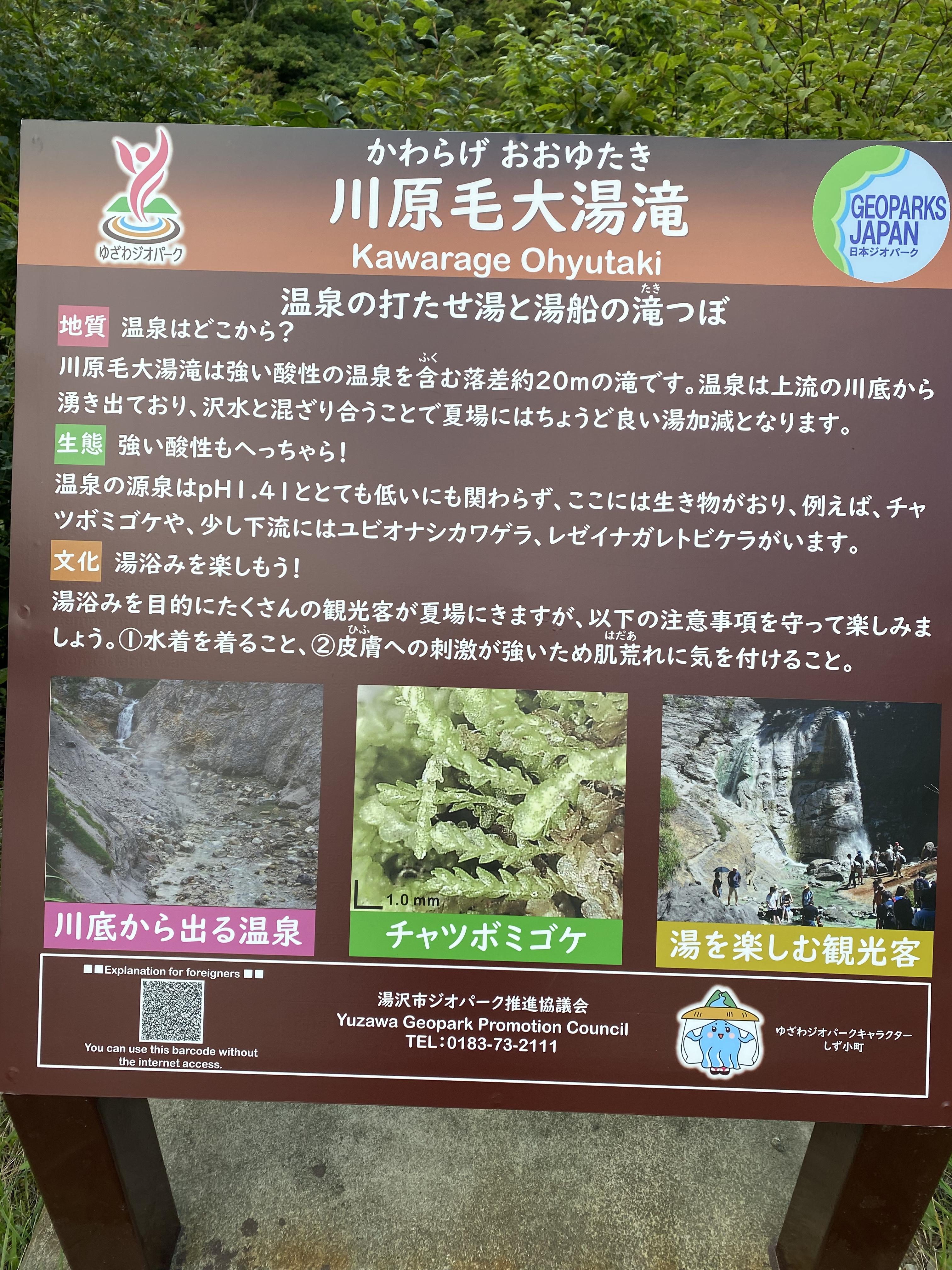 川原毛大湯滝