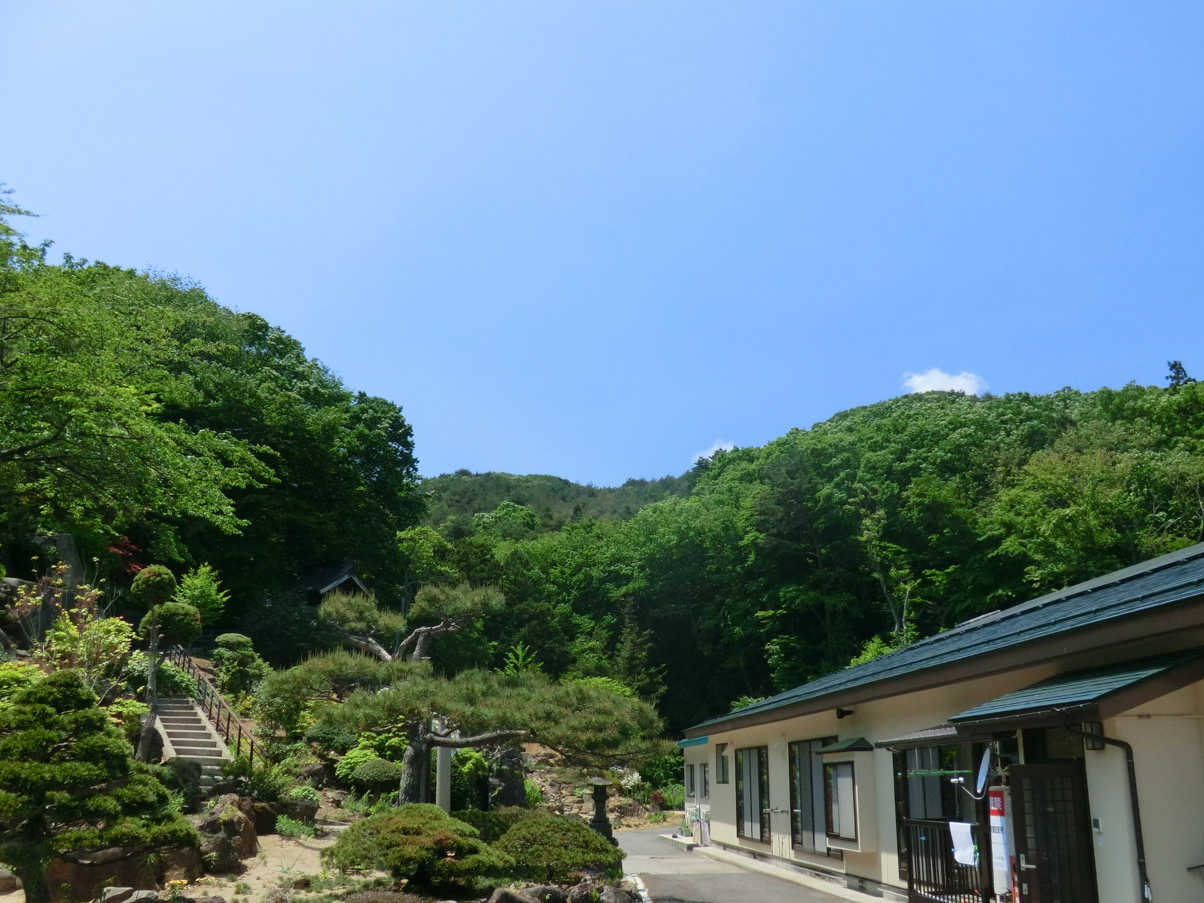 forest バン源田