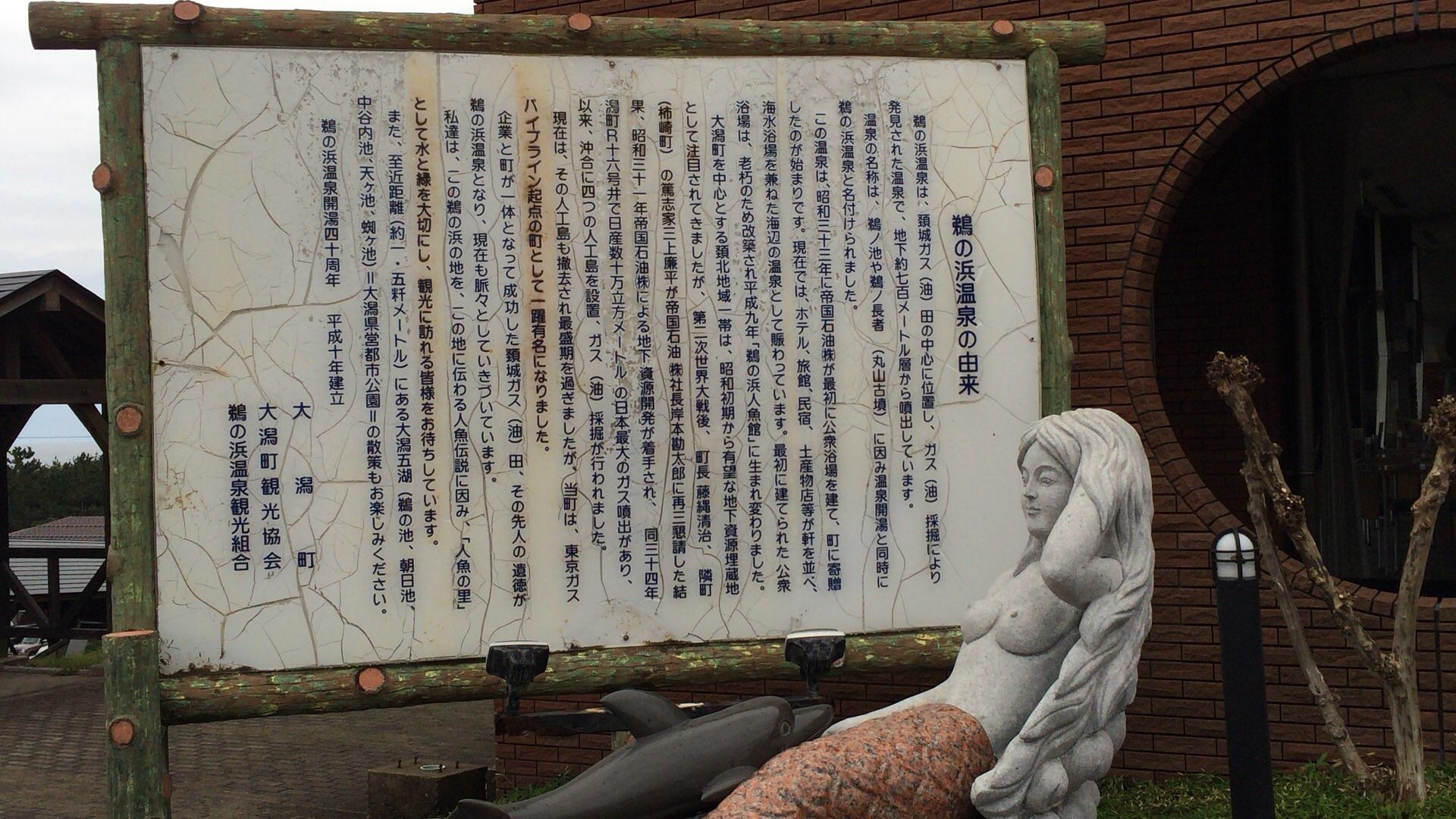 鵜の浜人魚館