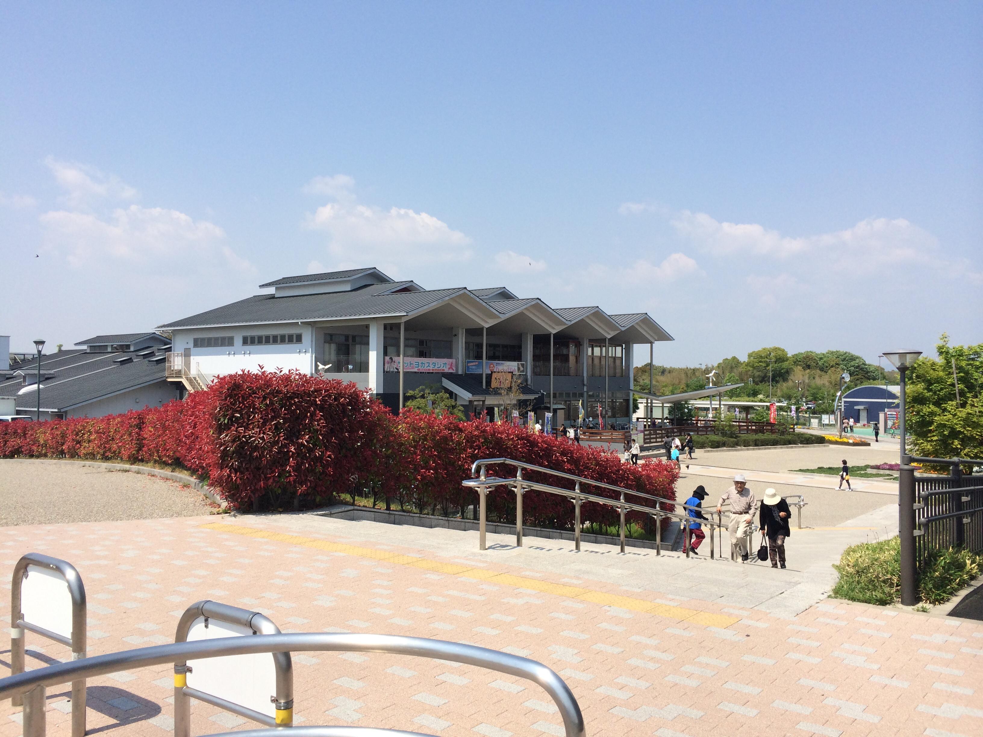天然温泉 かきつばた