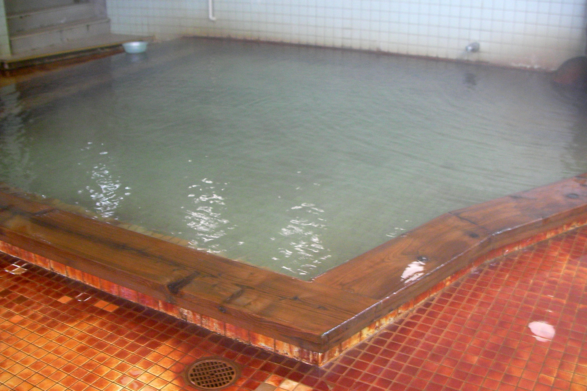 白鳥温泉下湯