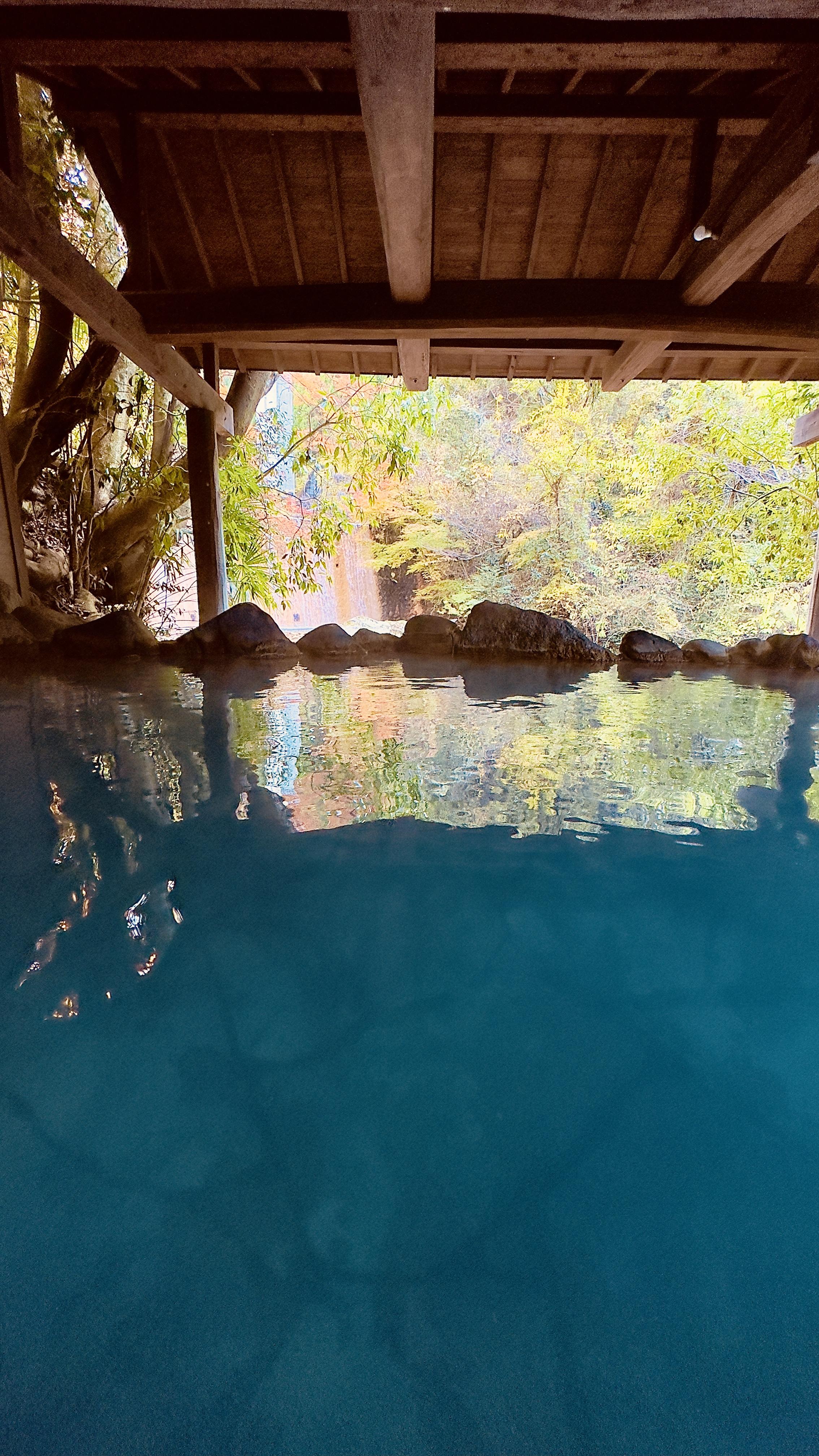 山川温泉旅館　山林閣