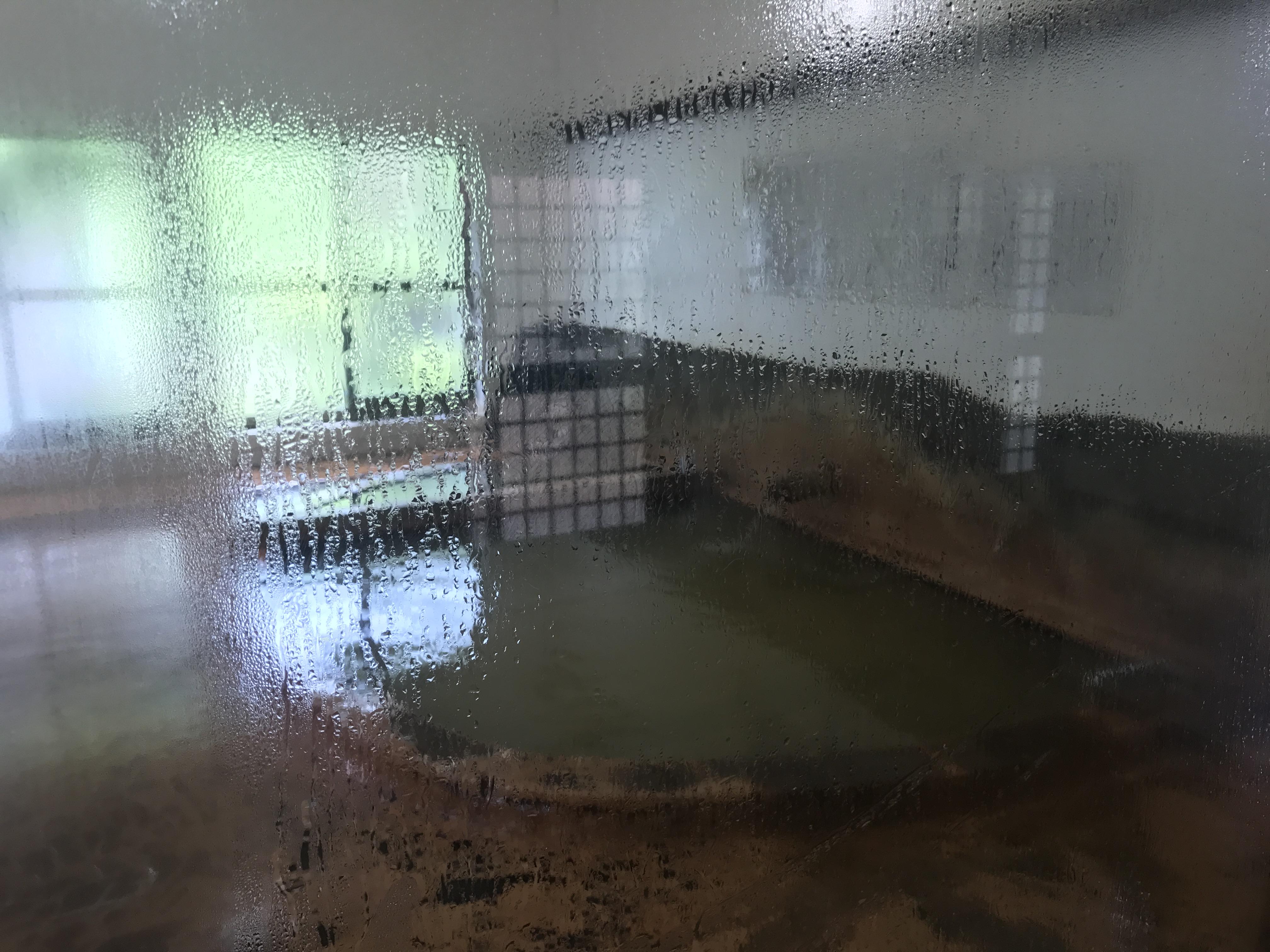 諏訪温泉