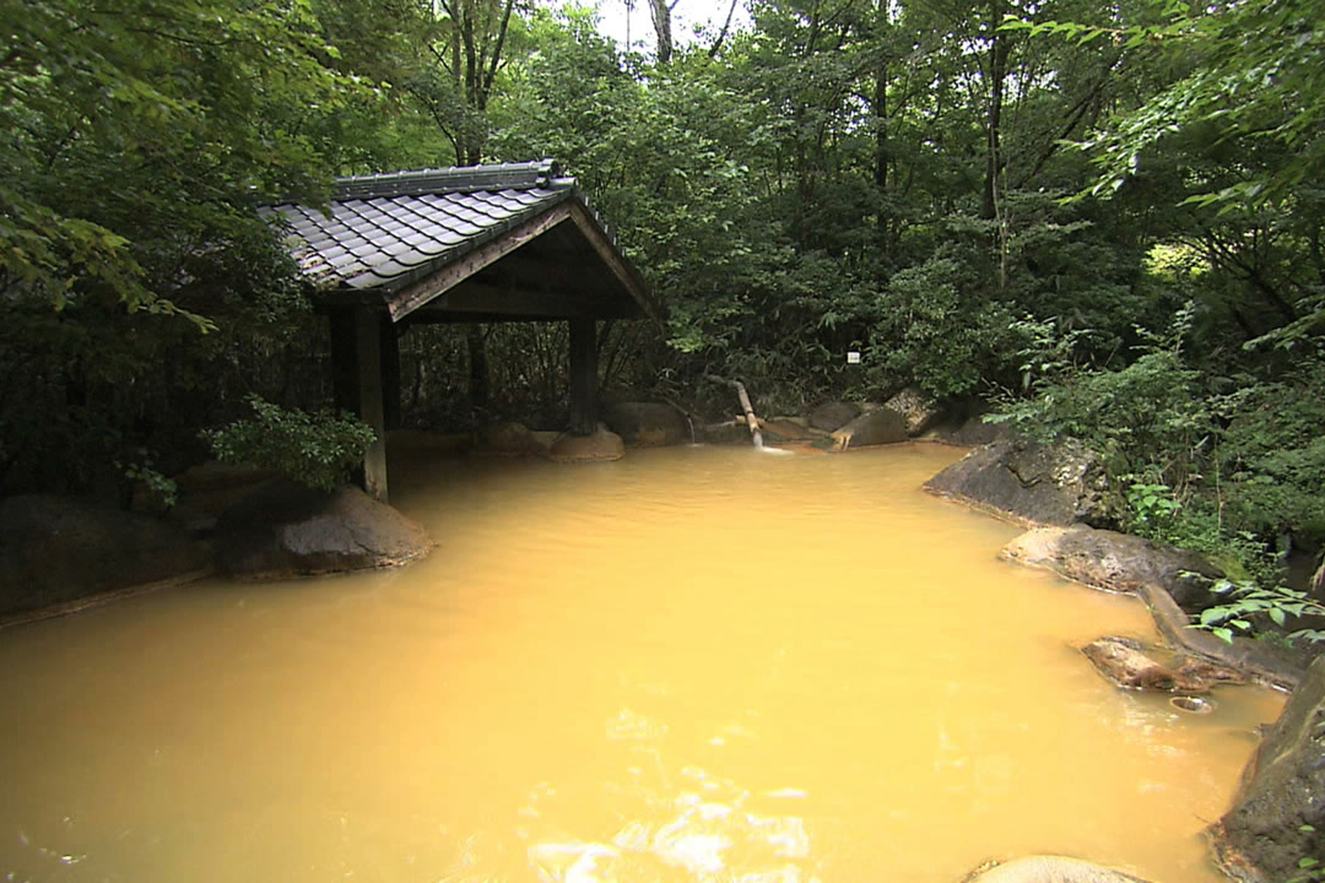 筌ノ口温泉　旅館新清館