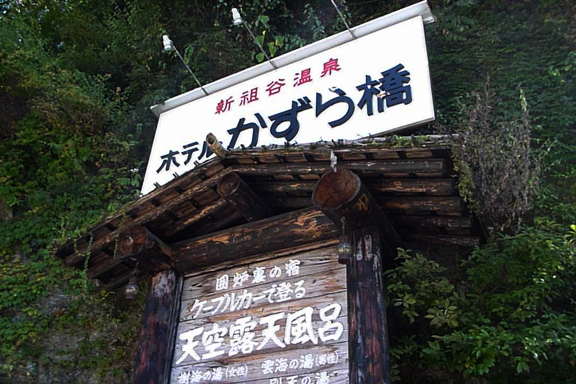 新祖谷温泉 ホテルかずら橋
