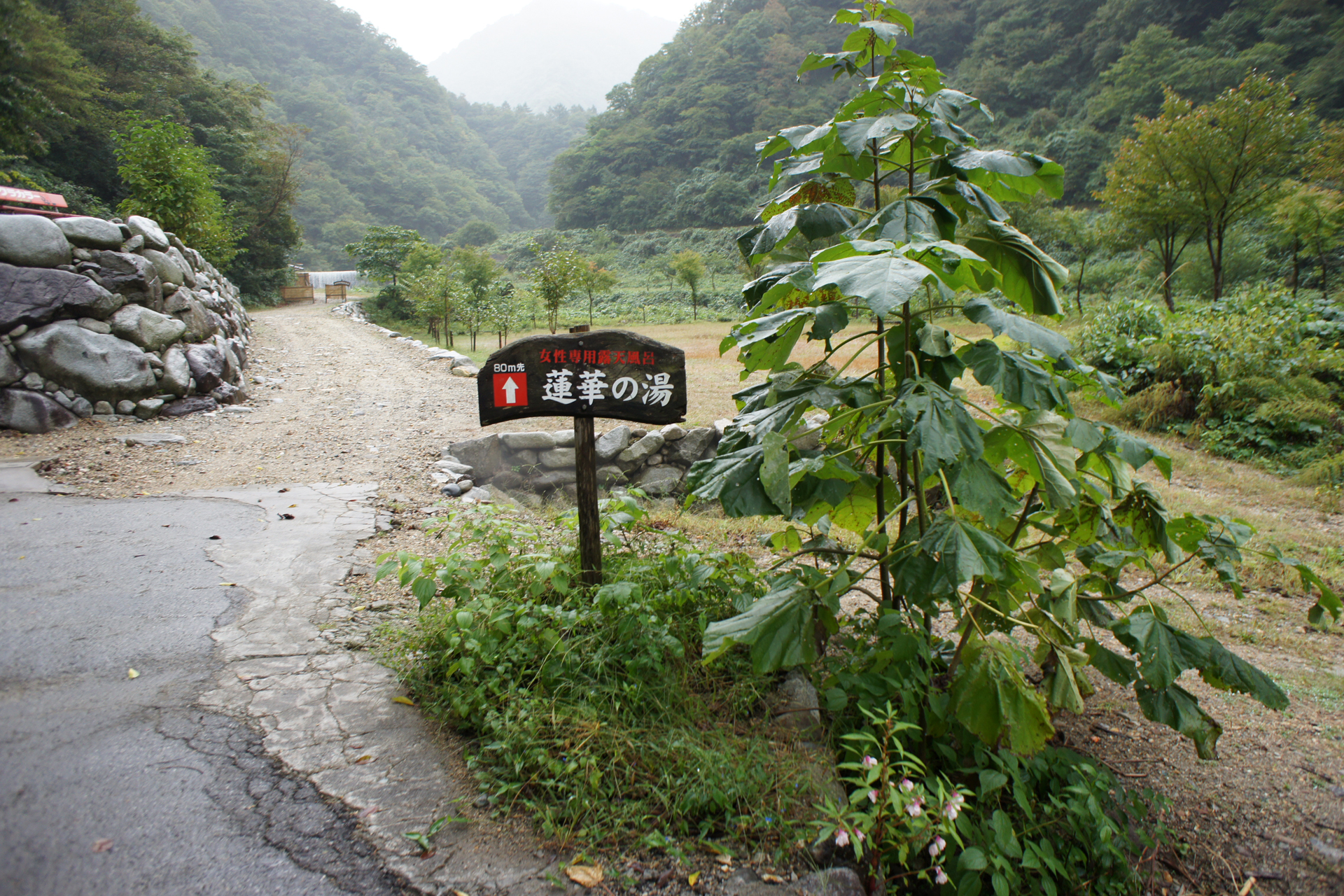 小川温泉元湯 ホテルおがわ