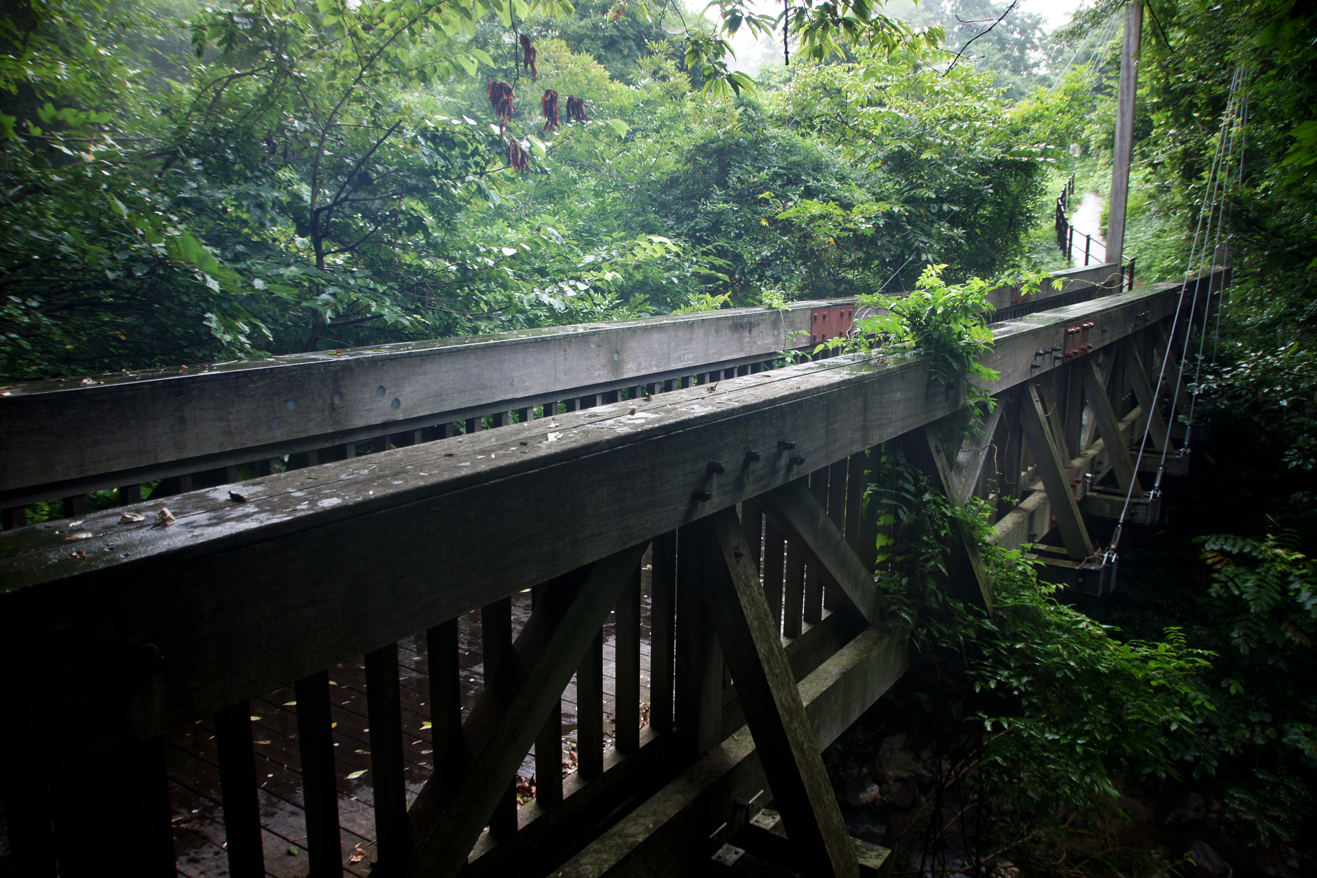地獄谷遊歩道の野湯