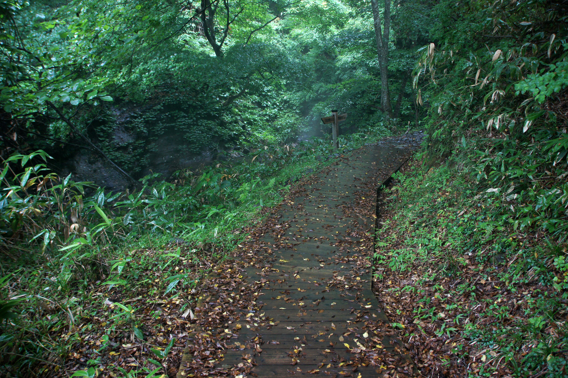 地獄谷遊歩道の野湯