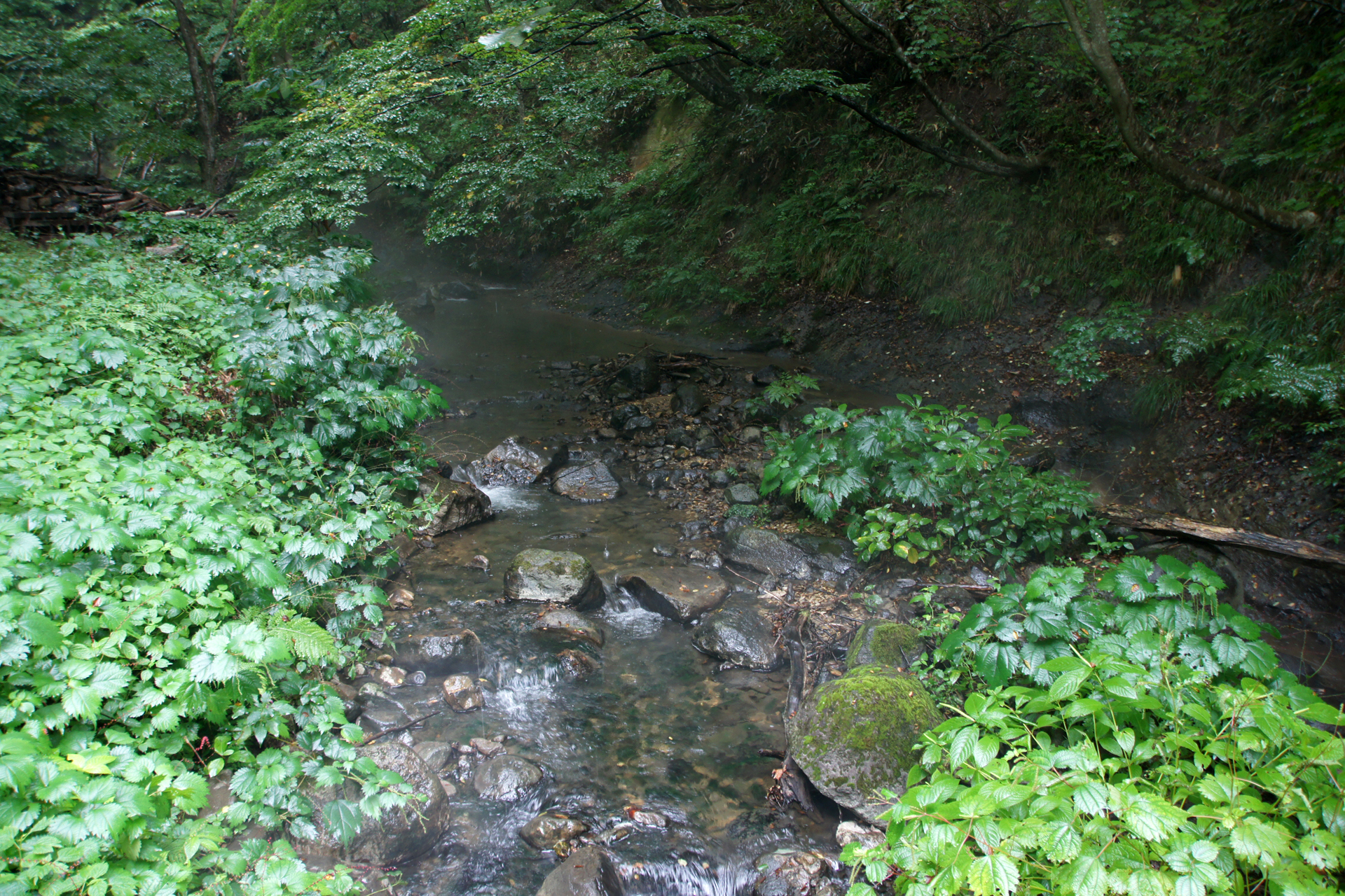 地獄谷遊歩道の野湯