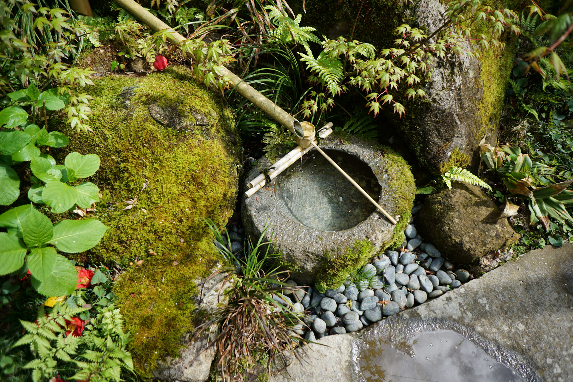 栃木温泉 紅葉谷の湯