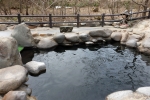 瀬美温泉　桐の花