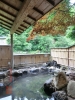 穴原温泉 いづみや