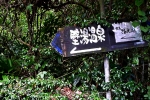壁湯天然洞窟温泉旅館　福元屋